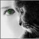 Аватар для Черная Кошка